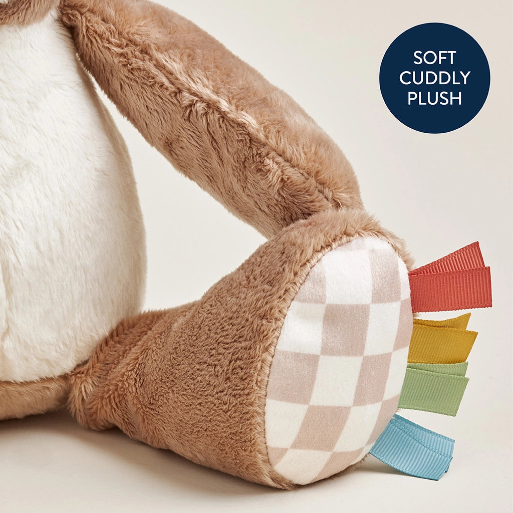 Sweetie Snuggles Bear Plush