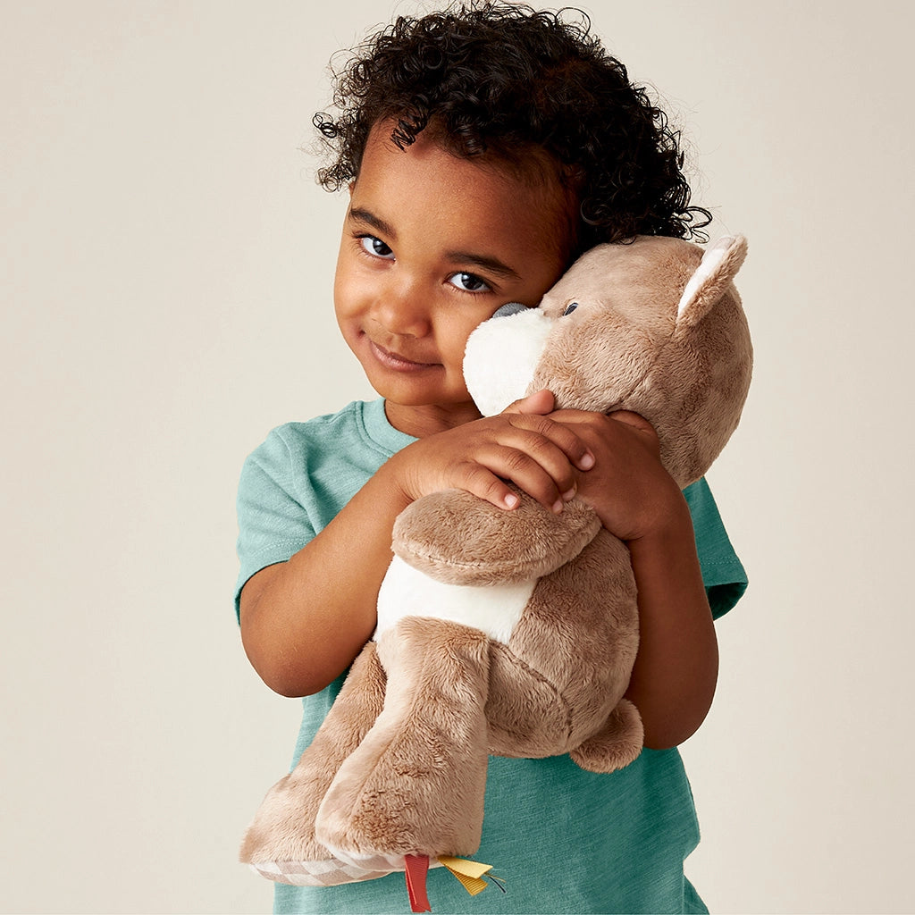 Sweetie Snuggles Bear Plush