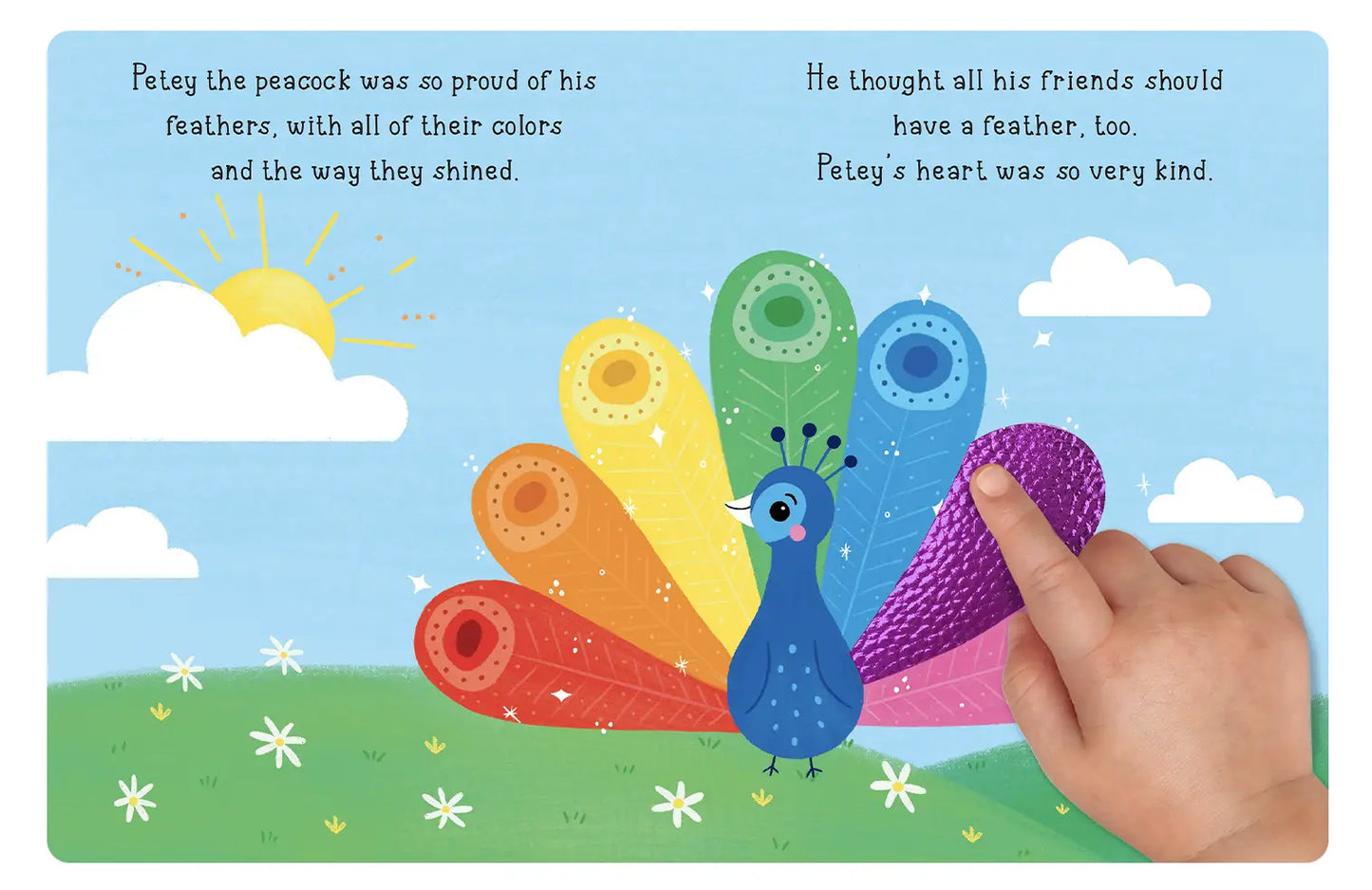 Peacock's Rainbow Feathers