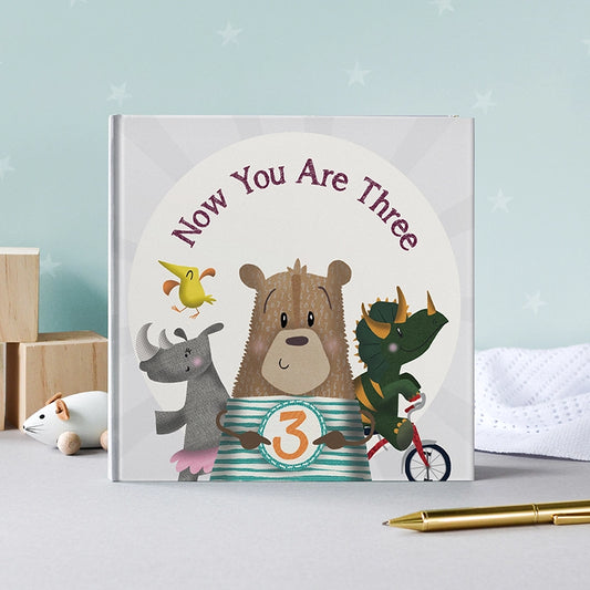 Now You Are Three - Birthday Book