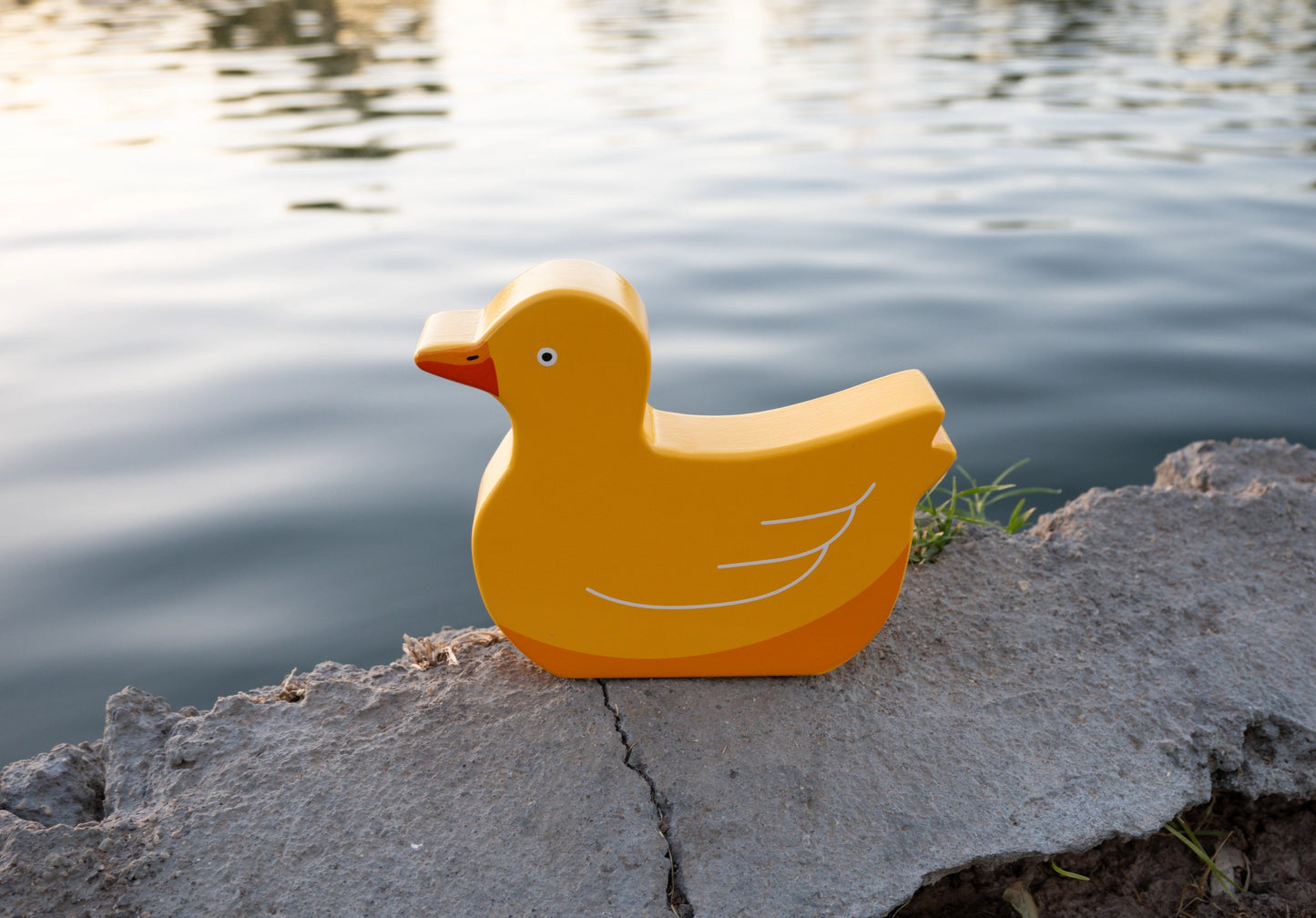 Wooden Duck Music Box