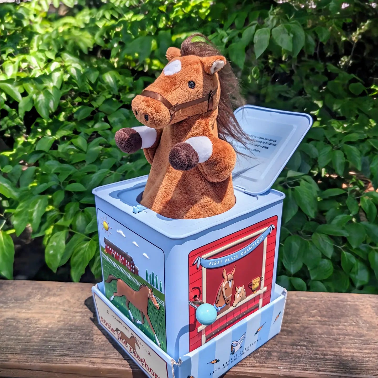 Rosie the Racehorse Jack in the Box