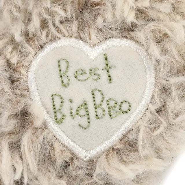 Gift For Big Brother
