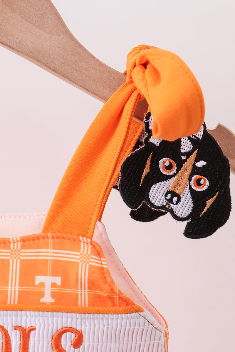 TN Vols Smokey Bubble