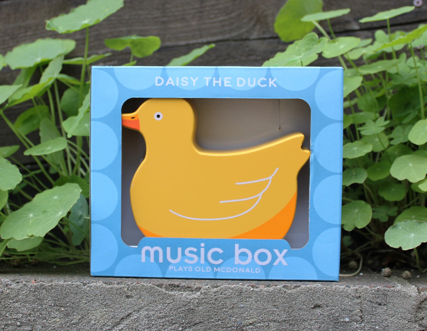 Wooden Duck Music Box