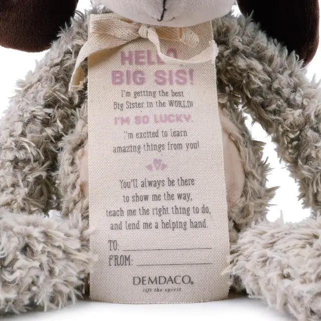 Gift For Big Sister
