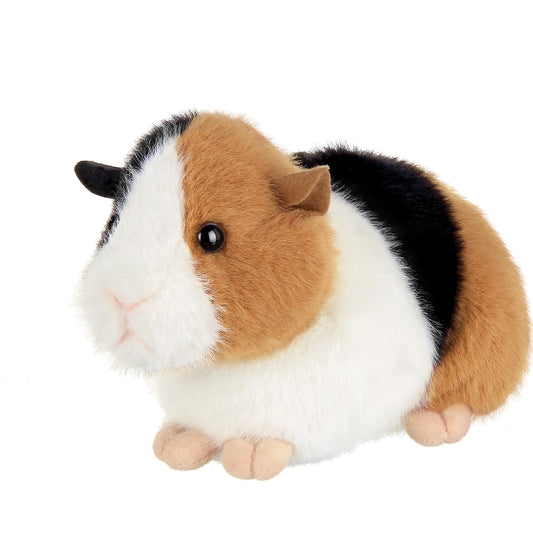 Scooter the Guinea Pig