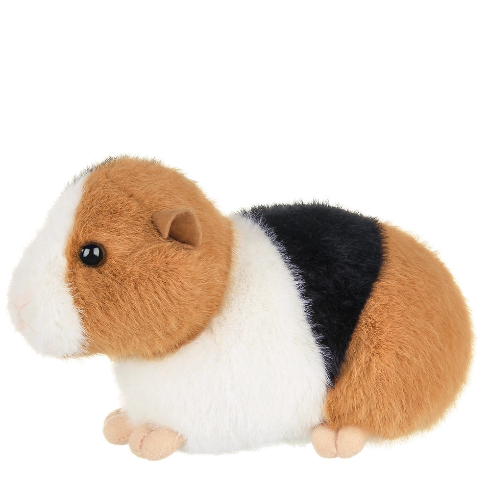 Scooter the Guinea Pig