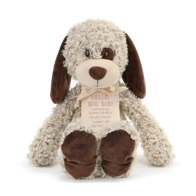 Gift For Big Sister
