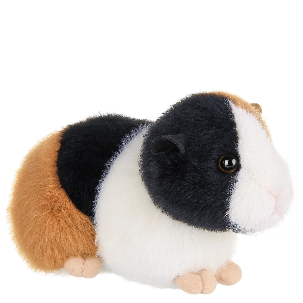 Scooter the Guinea Pig