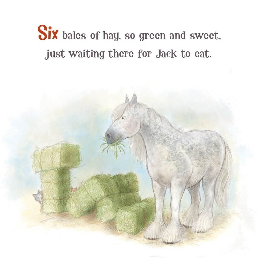 A Horse Named Jack Board Book